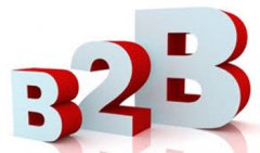 初创公司发展B2B电商需要解决的问题
