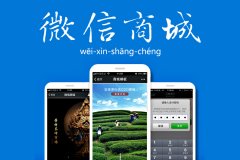 我们如何解决微商城在开发建设时遇到的问题